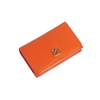 Kadın Deri Kartlık