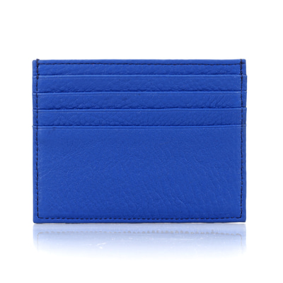Mavi Kadın Deri Kartlık
