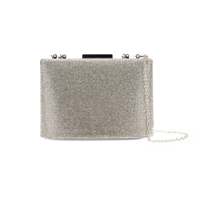 Teresa Gümüş Kadın Parlak Taşlı Gece Çantası