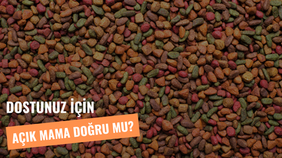 Dostunuz İçin Açık Mama Kullanmak Mantıklı mı?