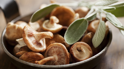 Reishi Shiitake Mantarı Nedir? Faydaları Nelerdir?