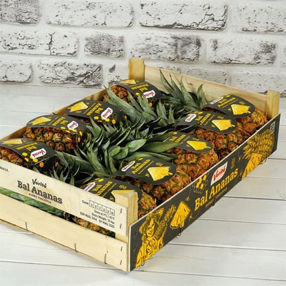 Verita Bal Ananas, 9 Adet