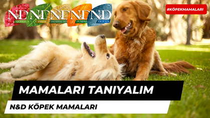 Mama Markalarını Tanıyalım: N&D Köpek Mamaları