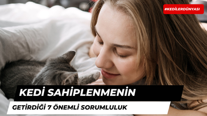 Kedi Sahiplenmenin Getirdiği 7 Önemli Sorumluluk!