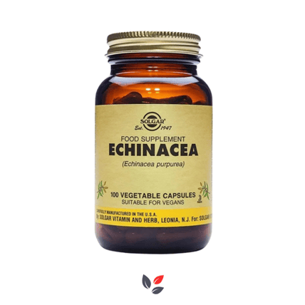 Solgar Echinacea 520 mg 100 Kapsül