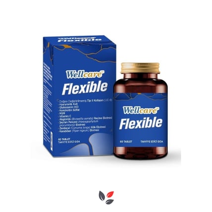 Wellcare Flexible 60 Tablet