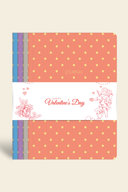 4'lü Defter Seti 14x20 Ciltli Çizgili 128 Sayfa Notes & Puantiye4'lü Defter Seti 14x20 Ciltli Çizgili 128 Sayfa Puantiye