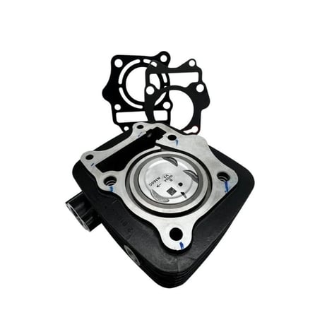 MSR Silindir Komple [OEM] - TVS Raider 125