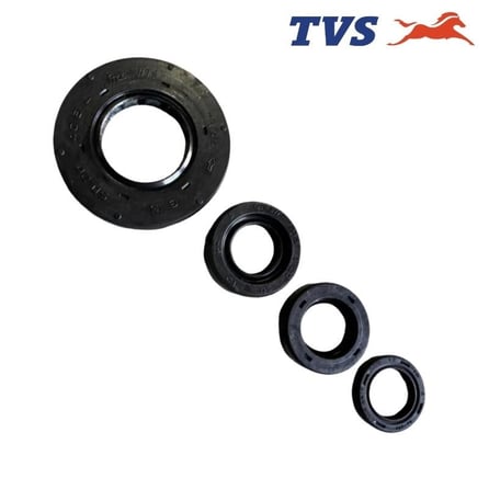 TVS Keçe Seti (N9325440) (Orjinal) - TVS Apache RTR 200