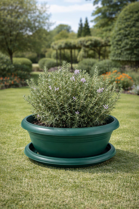 Serinova A001 Aranjman Saksı No:1 - 3.8 Litre | ID2843