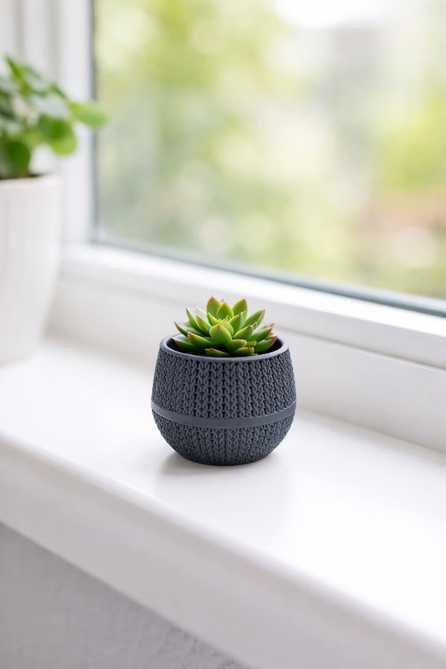 Serinova ASR1 Amasra Desenli Mini Kaktüs Skulent Saksısı 0,13Litre | ID4745