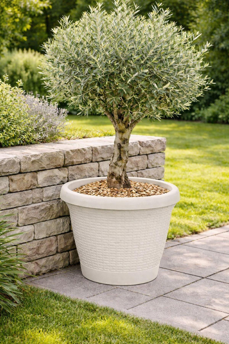 Serinova HS05 Hasır Saksı 25 Litre | ID1378