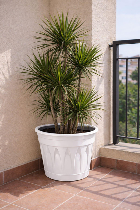 Serinova R008 Revak Saksı 11 Litre | ID1346