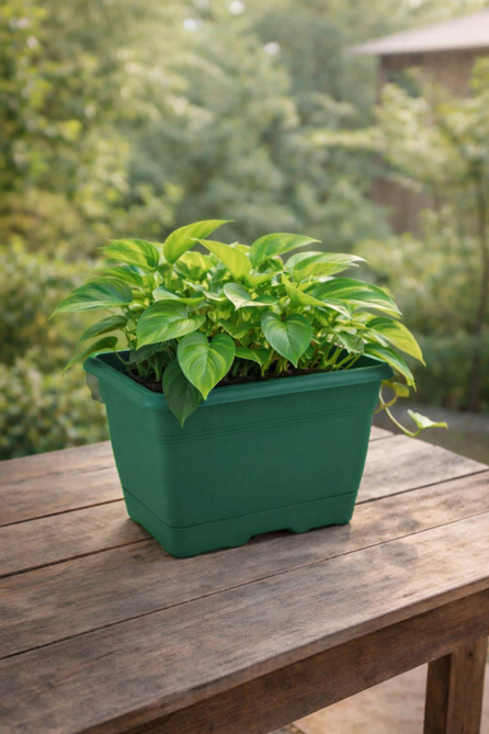Serinova V600 Villa Balkon Saksı 2.75 Litre | ID1370