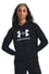 Under Armour Erkek Siyah-Beyaz Sweatshirt 1379501-001