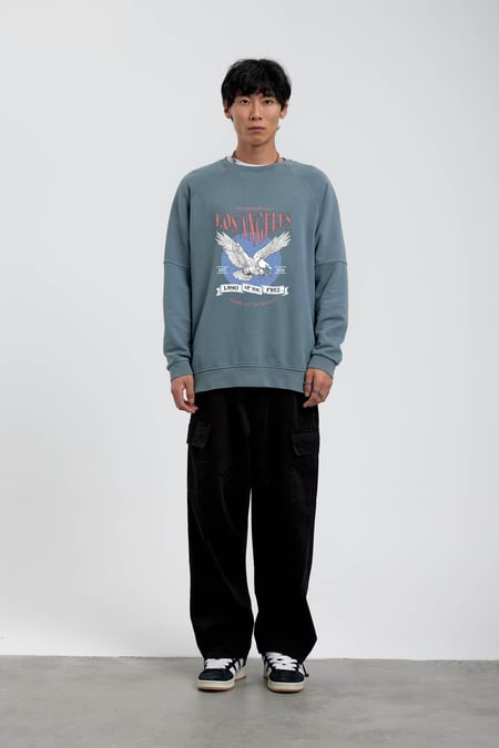 Mavi Kartal Baskılı Sweatshirt