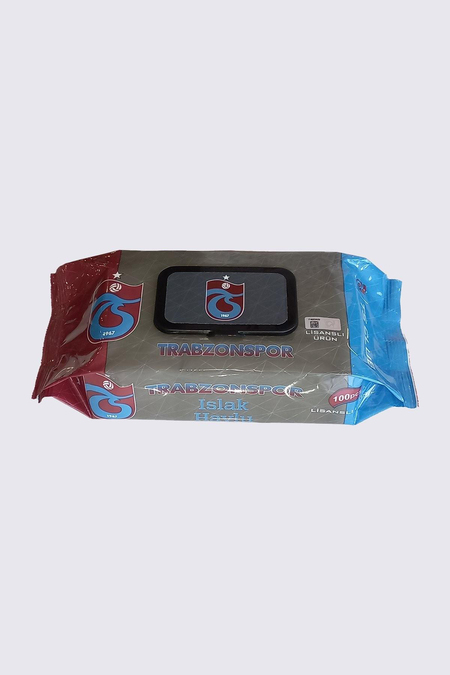 ISLAK HAVLU 100'LÜ PAKET