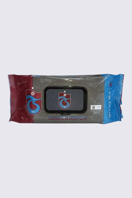 ISLAK HAVLU 100'LÜ PAKET