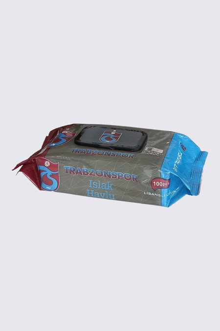 ISLAK HAVLU 100'LÜ PAKET
