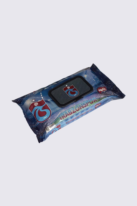 ISLAK HAVLU 60'LI PAKET