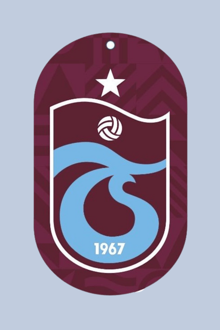 OTO KOKUSU SIRT KARTONLU RAIN