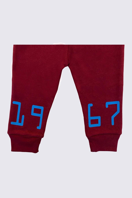 tek-alt-arka-paca-1967-baskili-75-e53.jpg