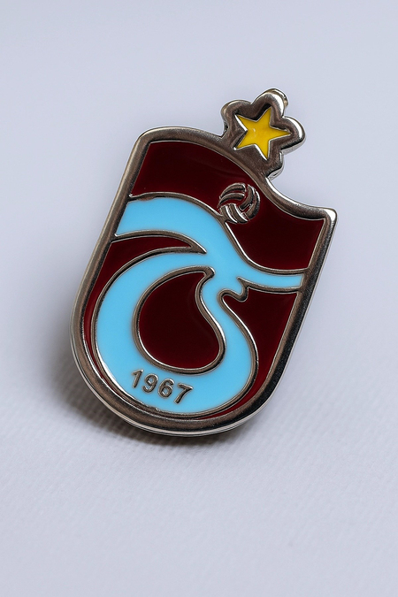 TS LOGO ROZET