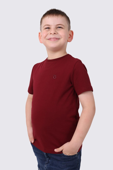 tshirt-bisiklet-yaka-basic-genc-2-1095.jpg