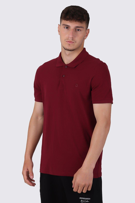 tshirt-polo-yaka-basic--4423-.jpg