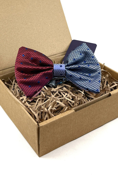 Çok Renkli Puantiye Desen Papyon P1781