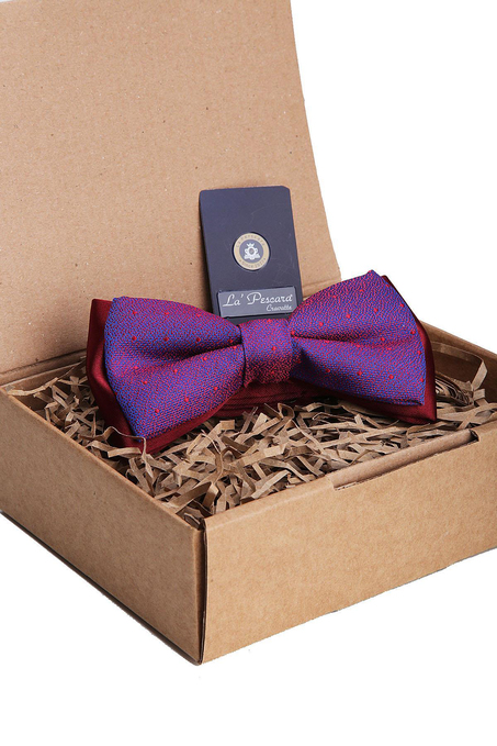 Kırmızı - Mavi Puantiye Desen Papyon P1214