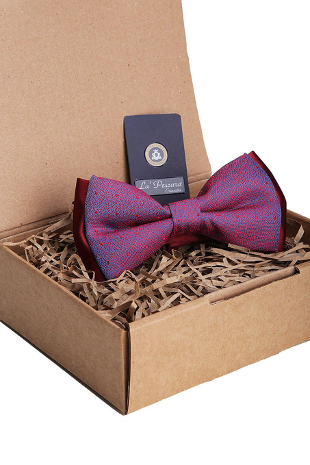 Kırmızı - Mavi Puantiye Desen Papyon P1211