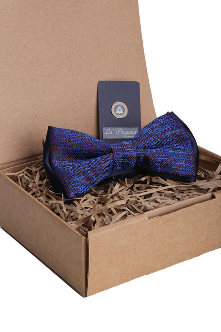 Mavi - Bordo Çizgi Desen Papyon P1163