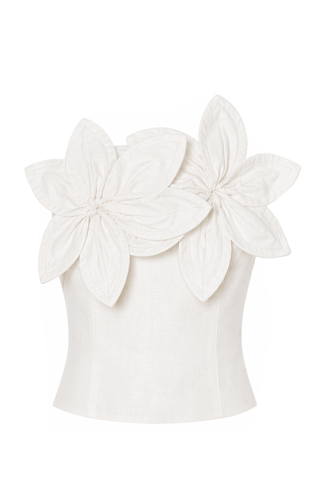 Magnolia Bloom