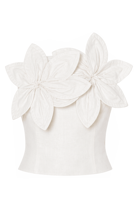Magnolia Bloom