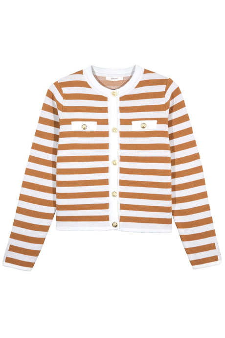 Çizgili Düğmeli Hırka