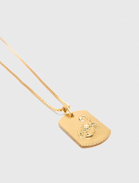 Akrep Burcu Taş Detaylı Kolye