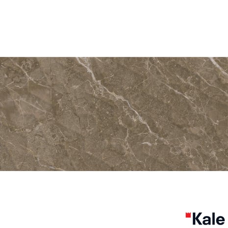 Çanakkale Seramik RP-8577 Alegra Kahve Dekor 30x60