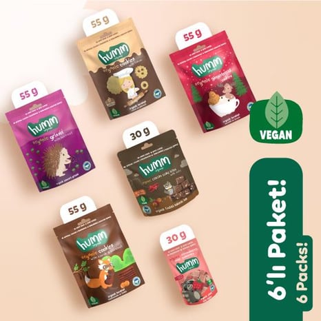 Organik Vegan Ara Öğün Atıştırmalık Paketi 6 adet (6 çeşit) görseli.