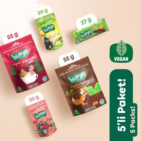 Organik Vegan Ara Öğün Atıştırmalık Paketi 5 adet (5 çeşit) görseli.