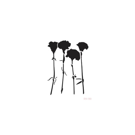 BN163 25x36 BN Serisi Stencil
