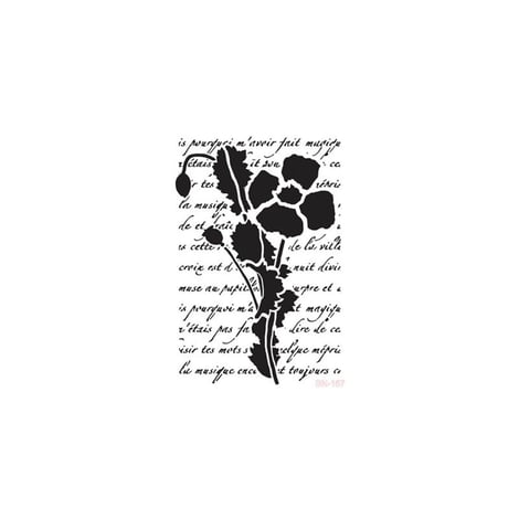 BN167 25x36 BN Serisi Stencil