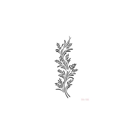 BN169 25x36 BN Serisi Stencil