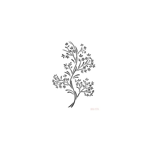BN174 25x36 BN Serisi Stencil