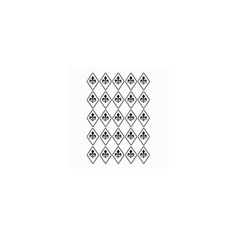 BN22 25x36 BN Serisi Stencil
