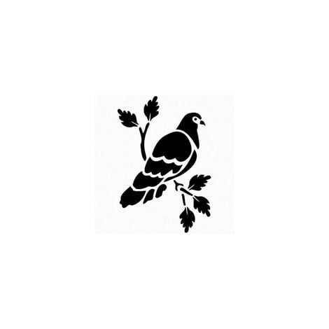 BN42 25x36 BN Serisi Stencil