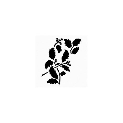 BN46 25x36 BN Serisi Stencil