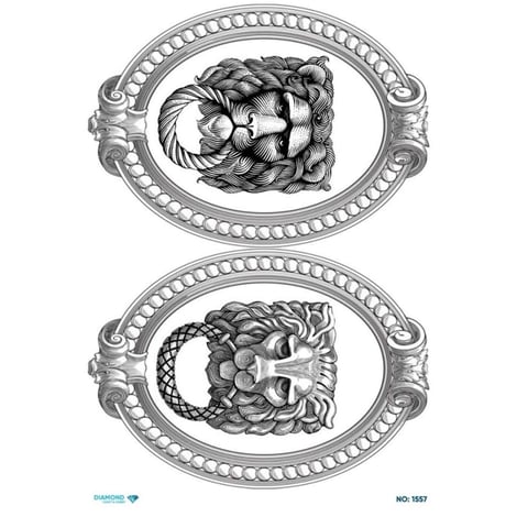 Diamond Model NO: 1557
