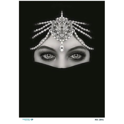 Diamond Model NO: 2841