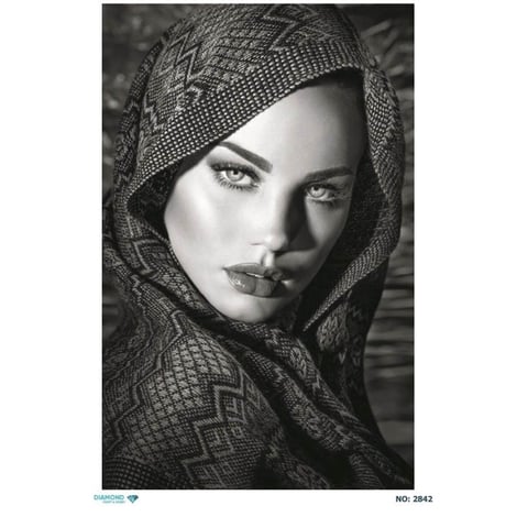 Diamond Model NO: 2842